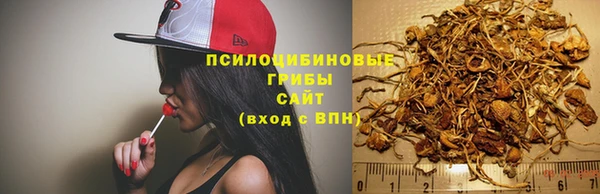 шишки Медногорск