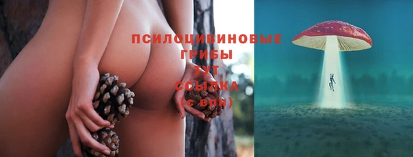 прущий лед Михайловск