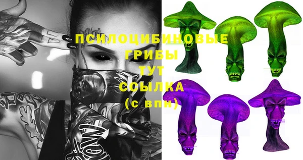 шишки Белая Калитва