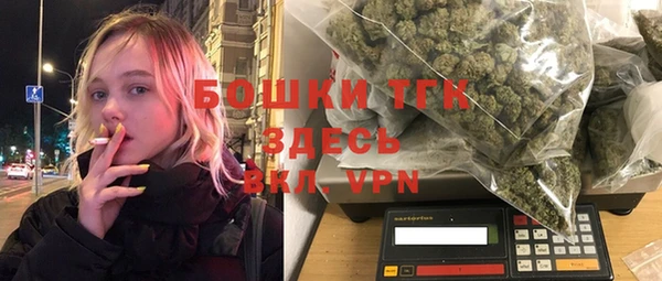 шишки Медногорск