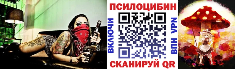 kraken ссылки  Тетюши  Псилоцибиновые грибы ЛСД 